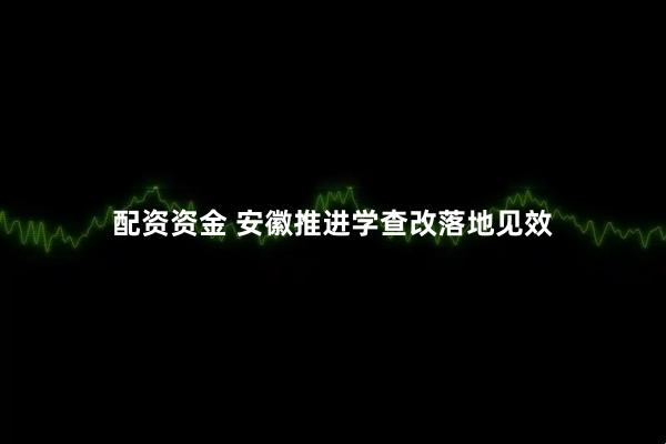 配资资金 安徽推进学查改落地见效