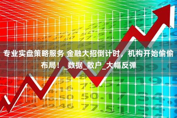 专业实盘策略服务 金融大招倒计时，机构开始偷偷布局！_数据_散户_大幅反弹